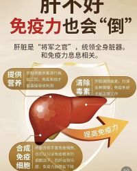 -雅曼妮spa美容养生