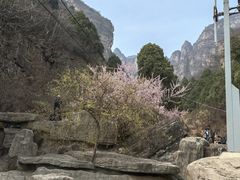 -狼牙山风景区