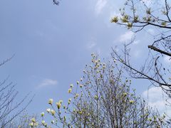 -新江湾城公园