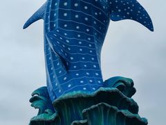 -珠海长隆海洋王国