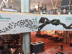 -吉隆坡国际机场