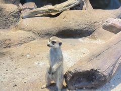 -苏州海洋馆
