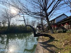 -西溪国家湿地公园