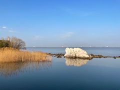 -上海吴淞炮台湾国家湿地公园