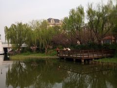 -新江湾城公园