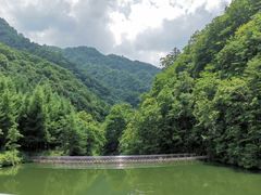 -老味道1992(武当山店)