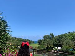 -海棠湾洲际-涛·海底餐厅·美人鱼·自助餐·海底隧道