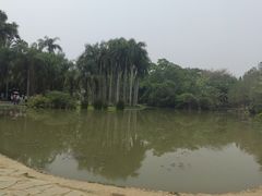-中国科学院西双版纳热带植物园