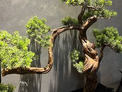 -NIUAN牛庵·日式和牛烧肉(恒隆店)