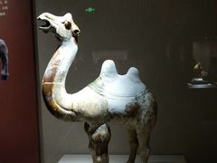 -宁夏博物馆