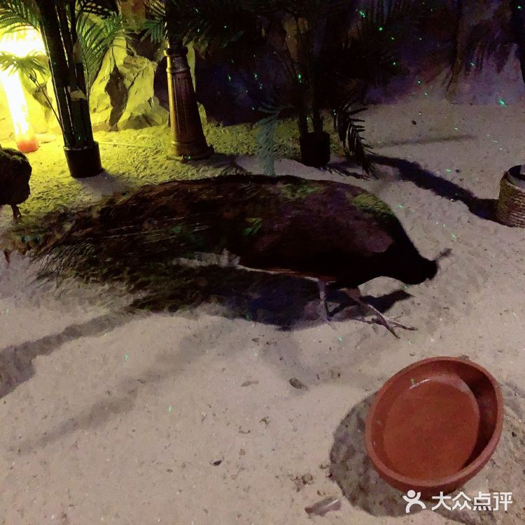 魔都室内动物园🐰~溜娃的好去处✌️