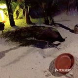 魔都室内动物园🐰～溜娃的好去处✌️