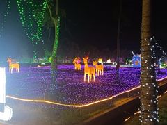 -广东花都香草世界旅游度假区