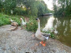 -伊隆斋(什刹海店)