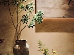 -心足私家足疗SPA(海岸城店)