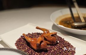 Da Hong Pao Young Pigeon
