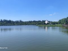 -西青郊野公园