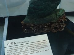 -中国第四纪冰川遗迹陈列馆