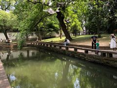 -西园戒幢律寺