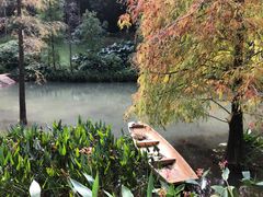 -云溪植物园