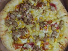 -达美乐比萨(国瑞北路店)