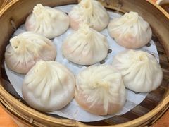 -莱莱小笼·乔艾