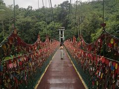 -西双版纳原始森林公园