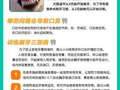 -爪吧宠物乐园·宠物泳池(温榆河示范区店)