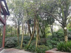-青城道汤池