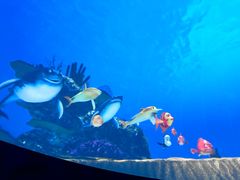 -苏州青少年科技馆