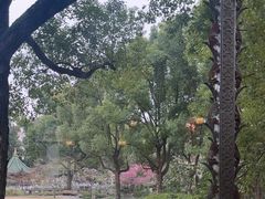 -申粤轩酒楼·三十年粤菜经典(丁香花园店)