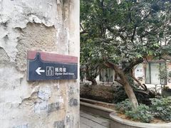-小洲村