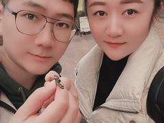 -济南方特东方神画