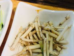 -丝恋丝娃娃(逸天城国贸店)