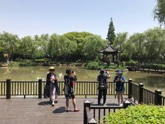 -瀛洲公园
