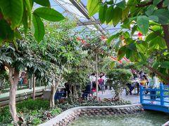 -南宫五洲植物乐园