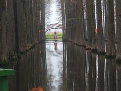 -渌洋湖湿地公园