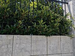 -中国港口博物馆