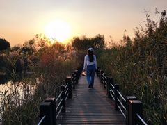 -苏州太湖湖滨国家湿地公园