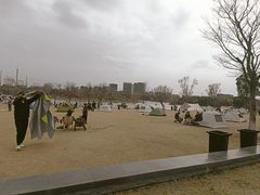 -九科绿洲