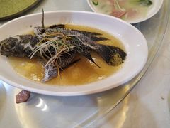 -上海阿潘舟山海鲜店(东宝兴路店)