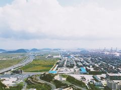 -洋山深水港