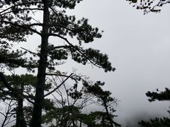 -罗田薄刀峰风景区
