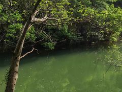 -白马涧龙池景区