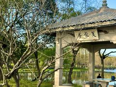 -渤公岛生态公园