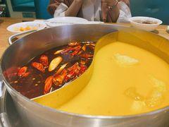 -青瓷火锅料理(西单大悦城店)
