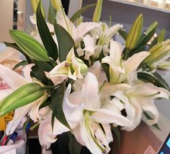 -FineYoga梵音瑜伽·普拉提