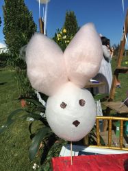 -圣露庄园·草坪婚礼·宴会厅·会议