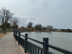 -上海长兴岛郊野公园