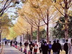 -江南大学(蠡湖校区)